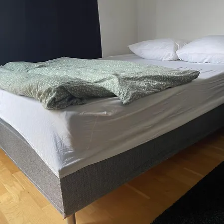 Apartment Roxi Center